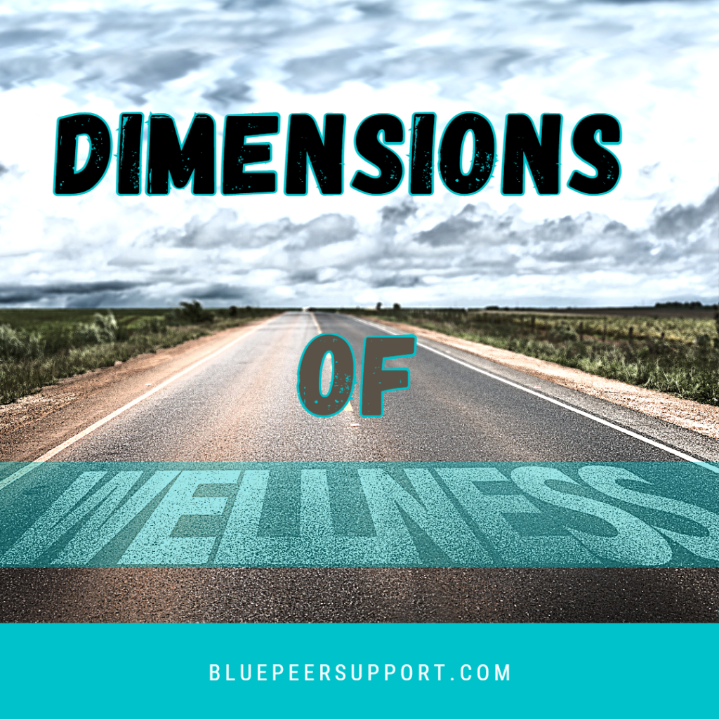 The words Dimensions of Wellness overlay an image of a road surrounded by fields and a cloudy sky. 